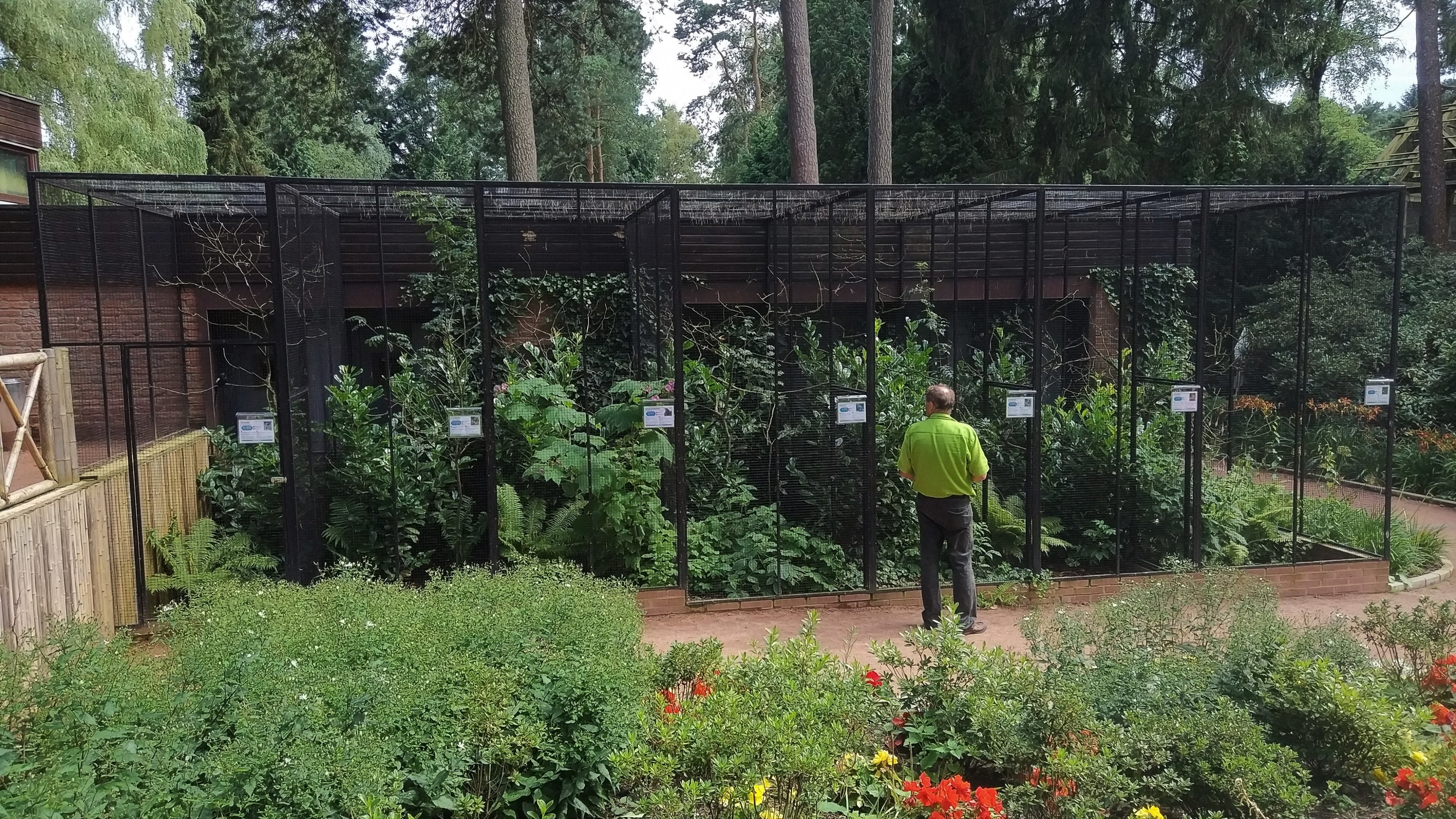 Miscellaneous Aviaries