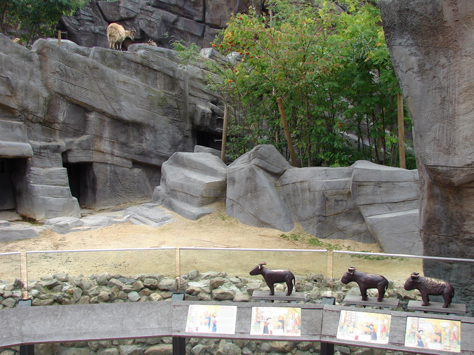 Mishmi Takin and Himalayan Tahr exhibit