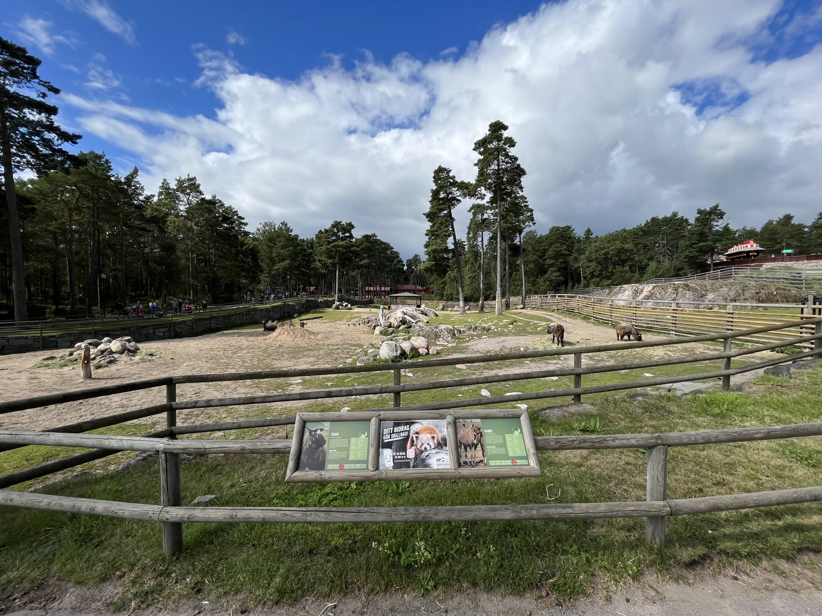 Mishmi Takin/Bactrian Camel Exhibit