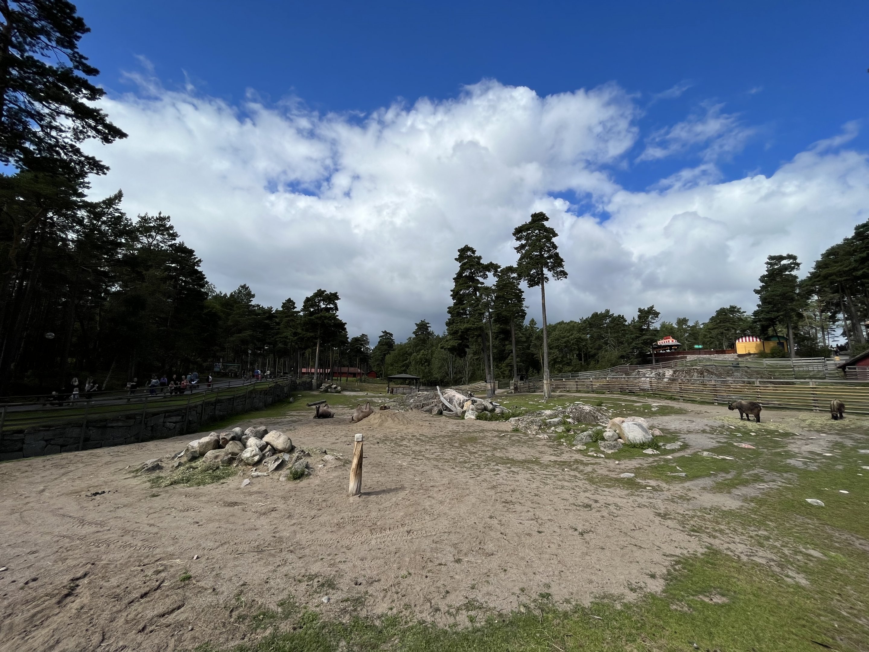 Mishmi Takin/Bactrian Camel Exhibit