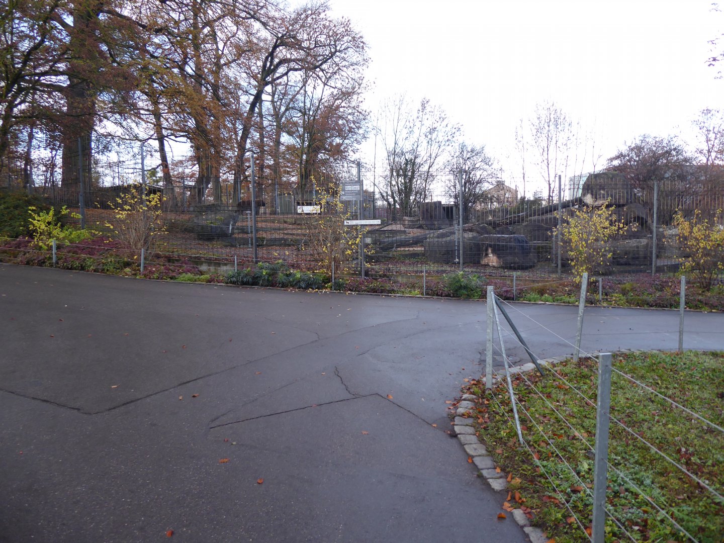 Mishmi takin enclosure 011218