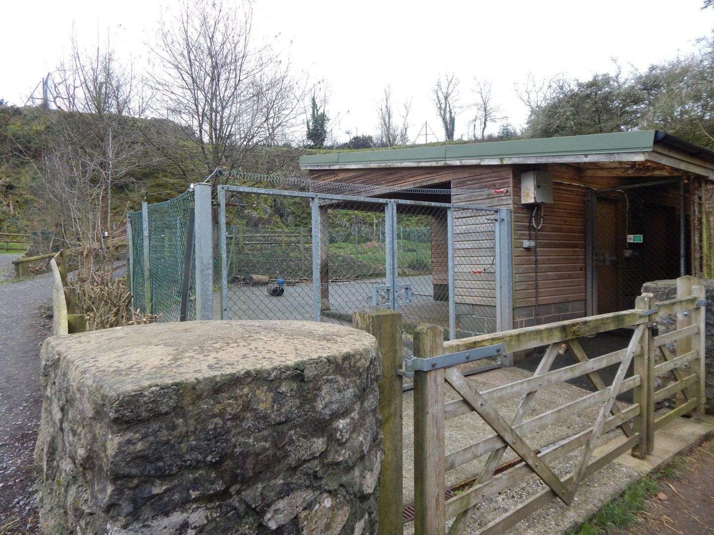 Mishmi takin enclosure 050224