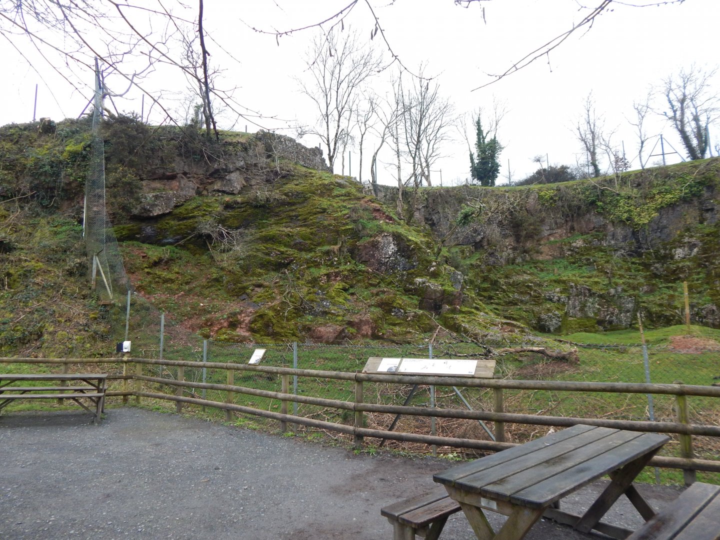 Mishmi takin enclosure 050224