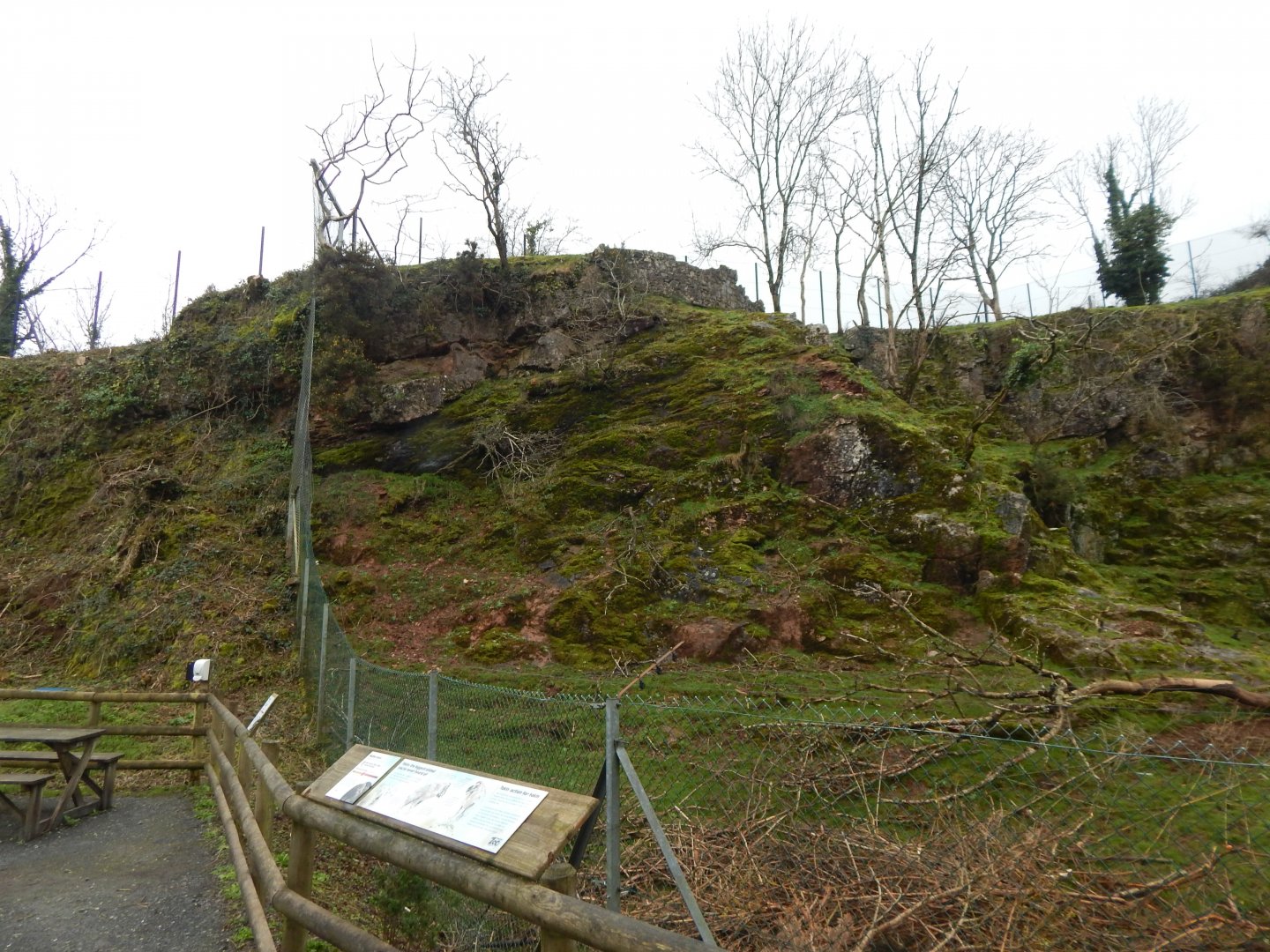 Mishmi takin enclosure 050224