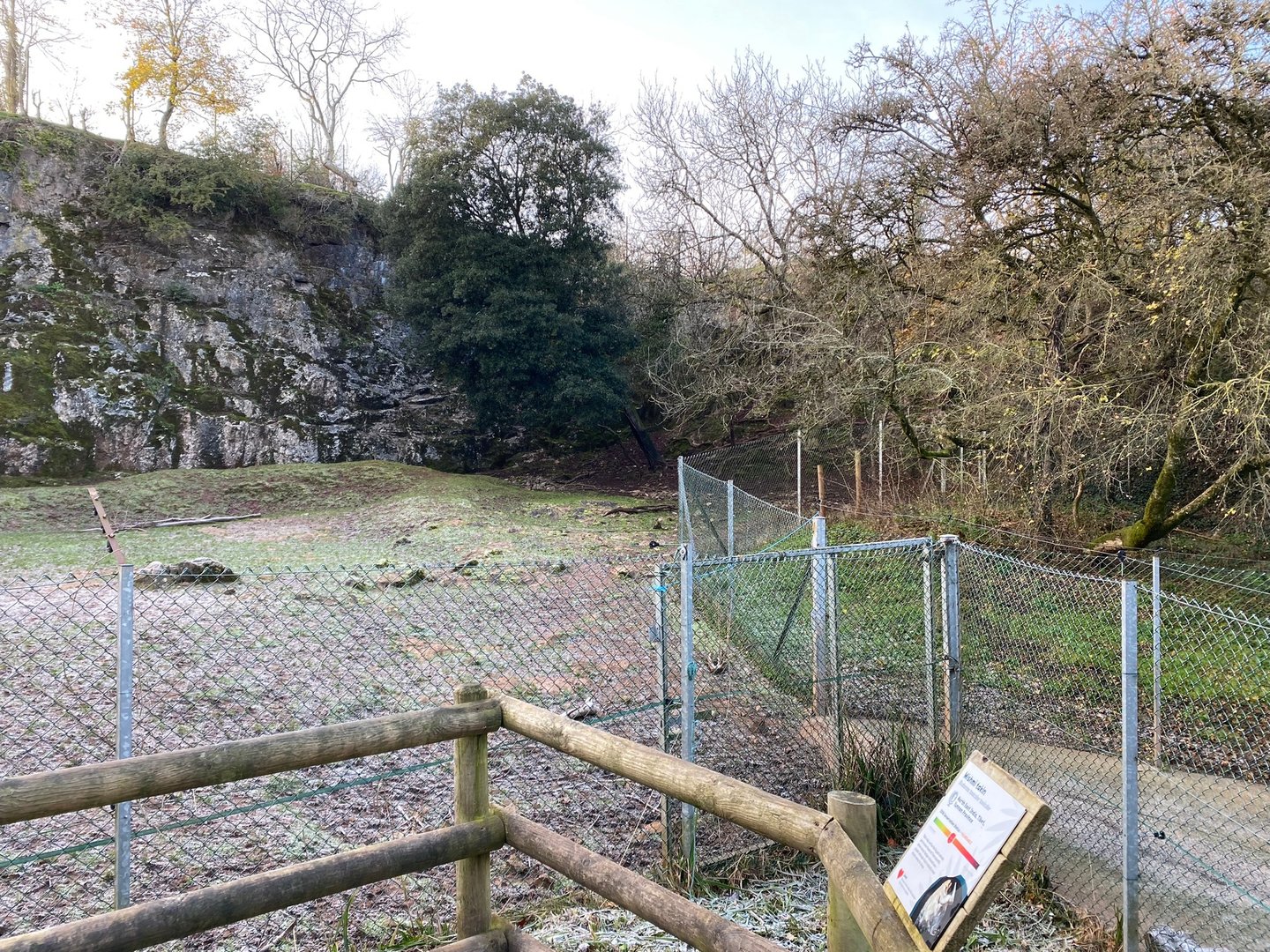 Mishmi takin enclosure 161222
