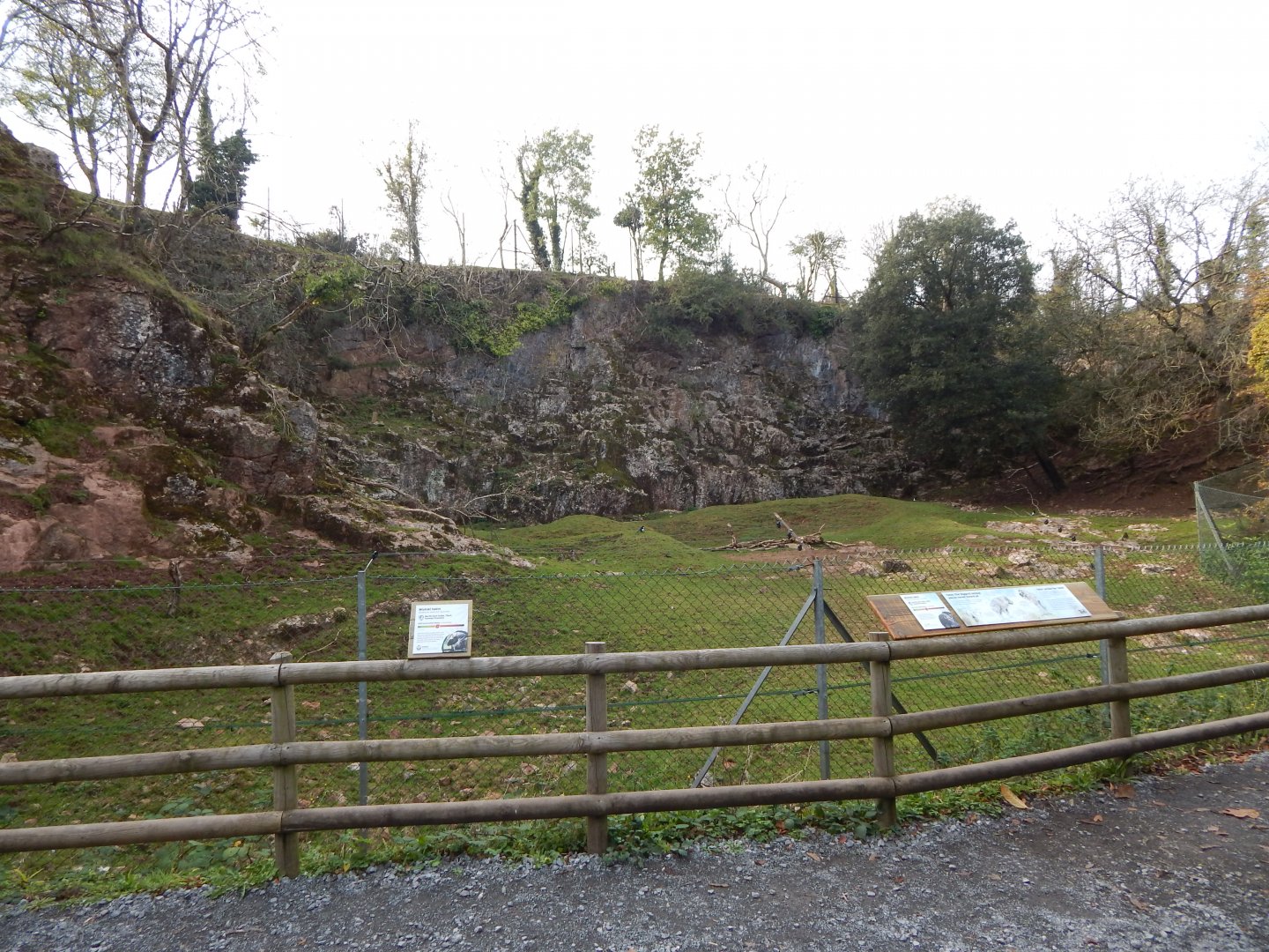 Mishmi takin enclosure 181020