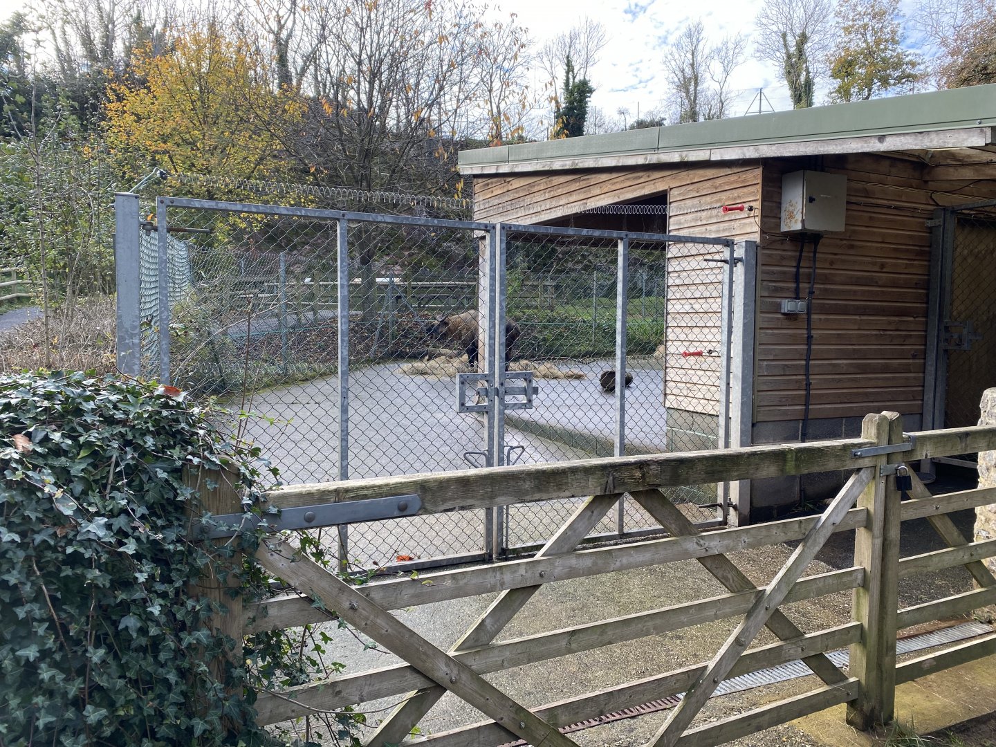Mishmi takin enclosure 201121