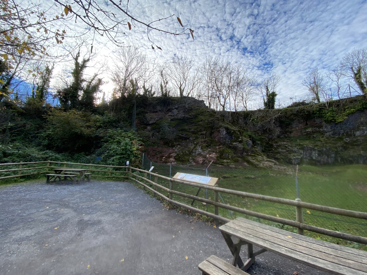 Mishmi takin enclosure 201121