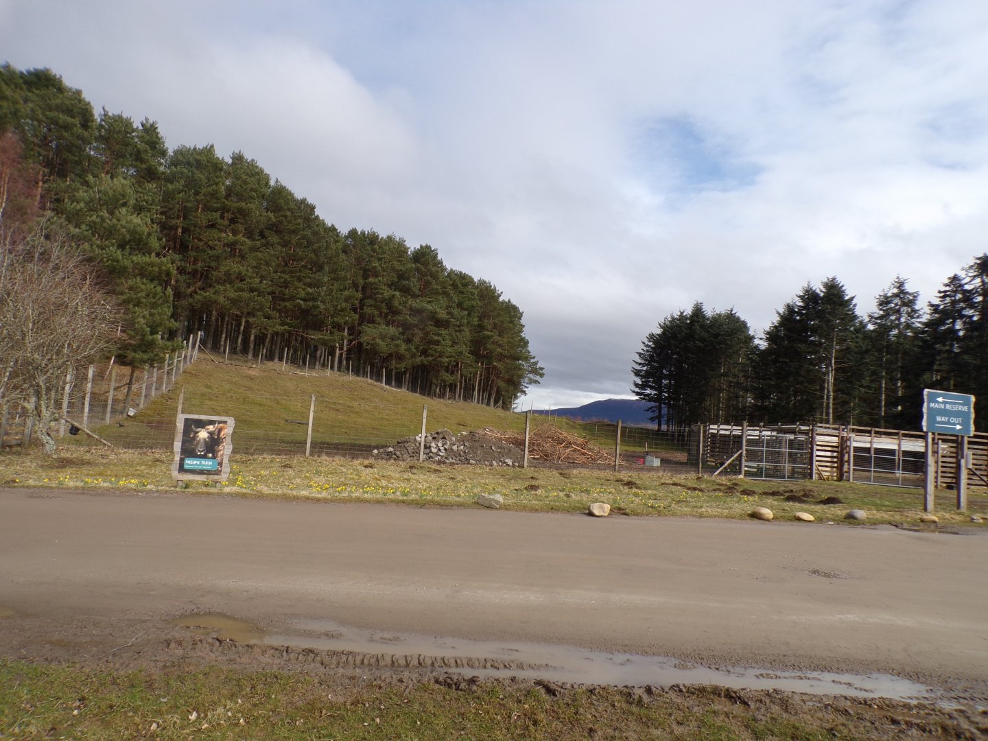 Mishmi takin enclosure 5.4.24