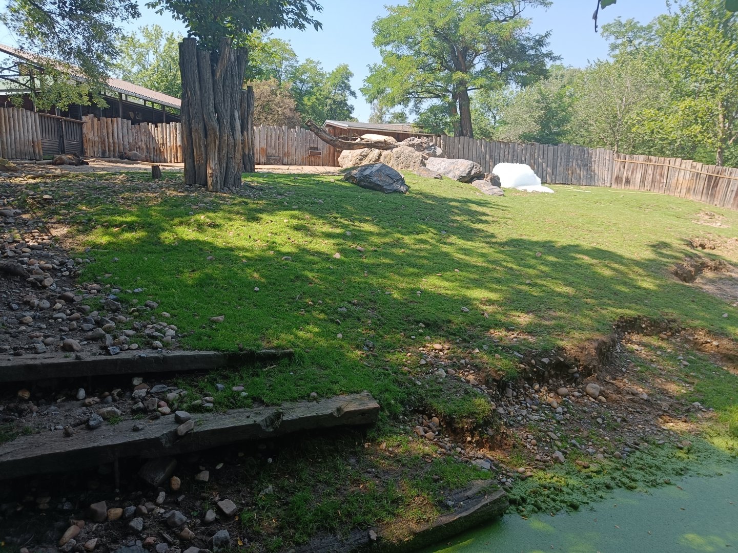 Mishmi Takin enclosure - Plains