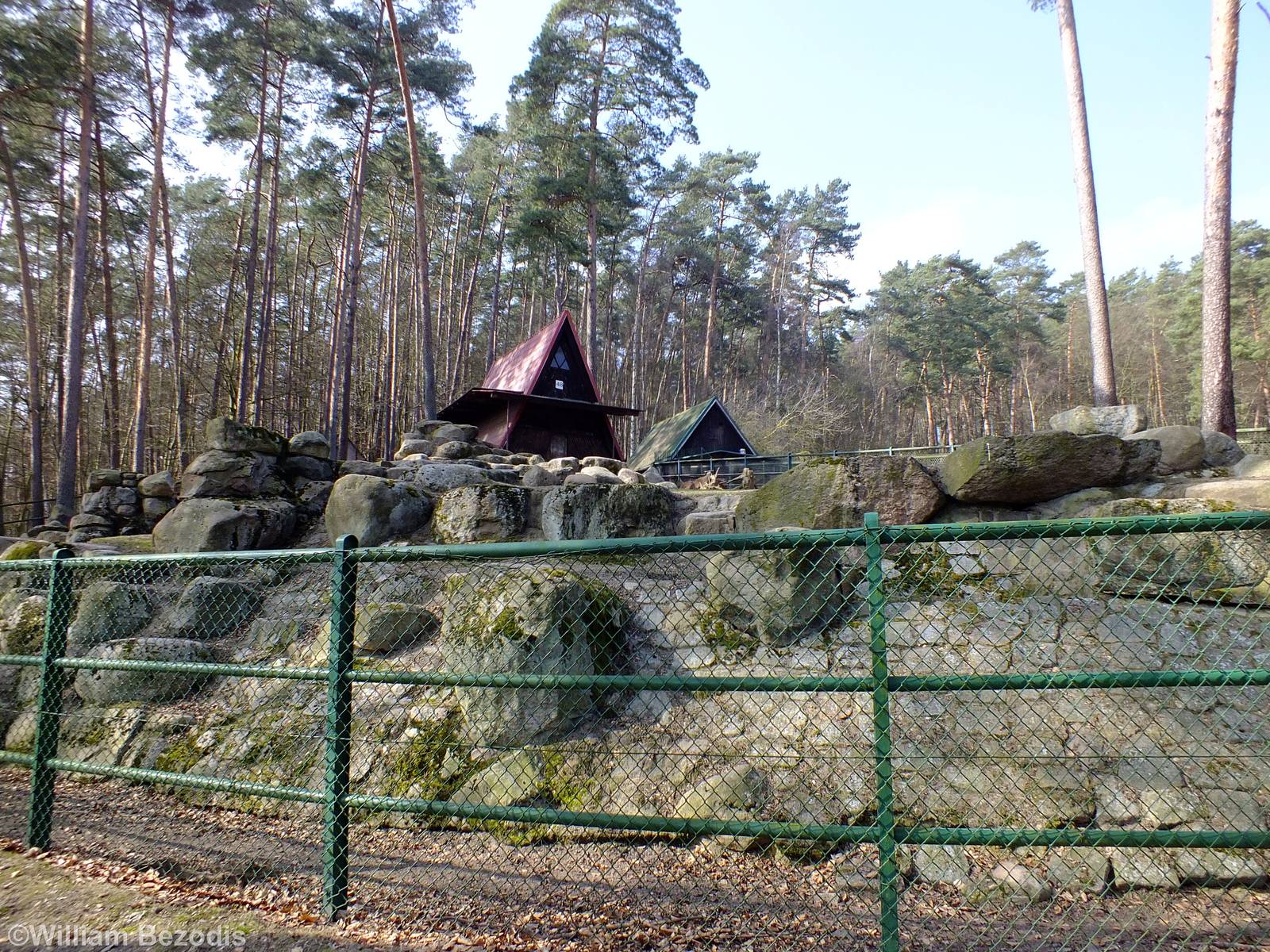 Mishmi Takin Enclosure