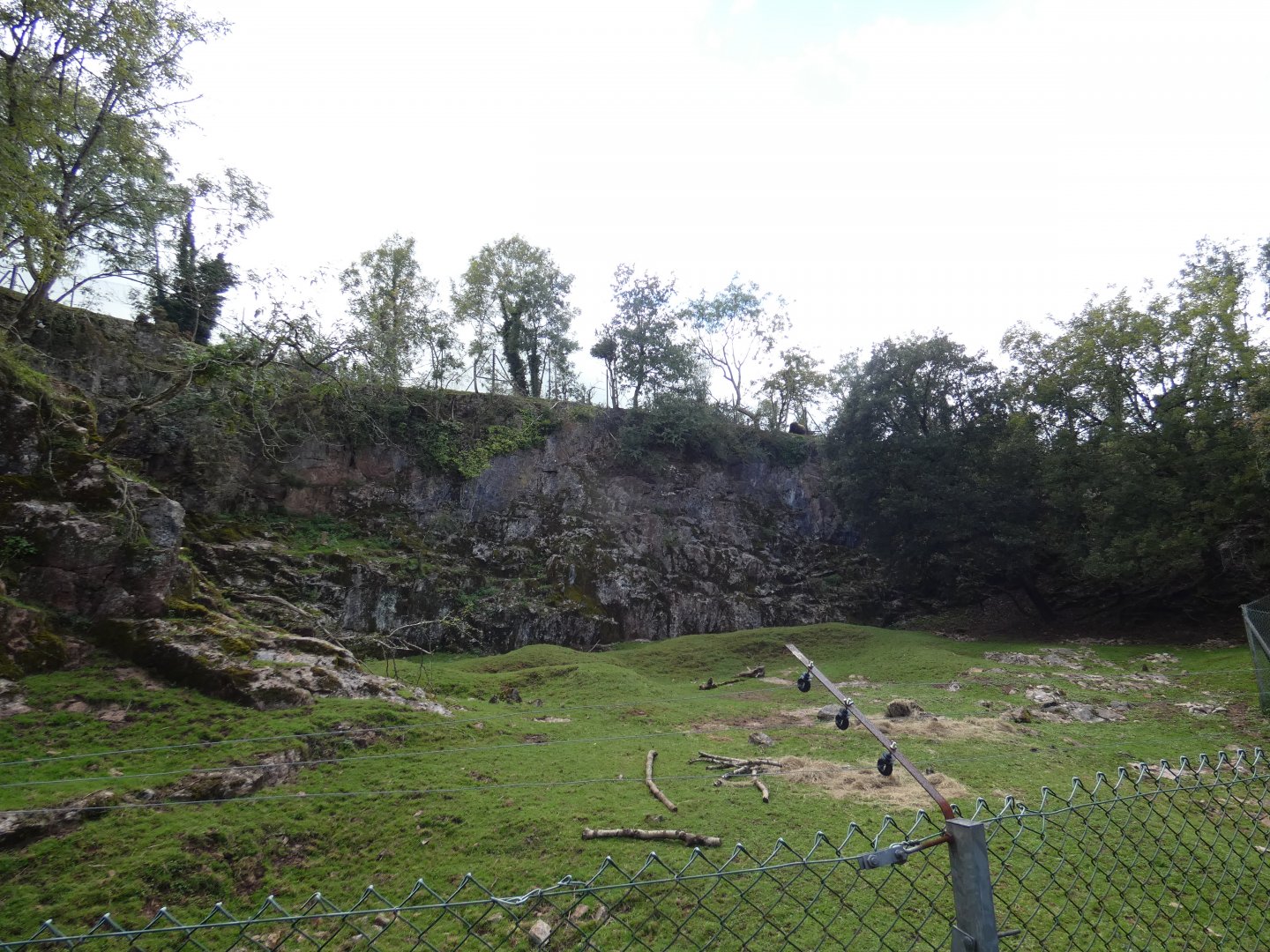 Mishmi Takin enclosure