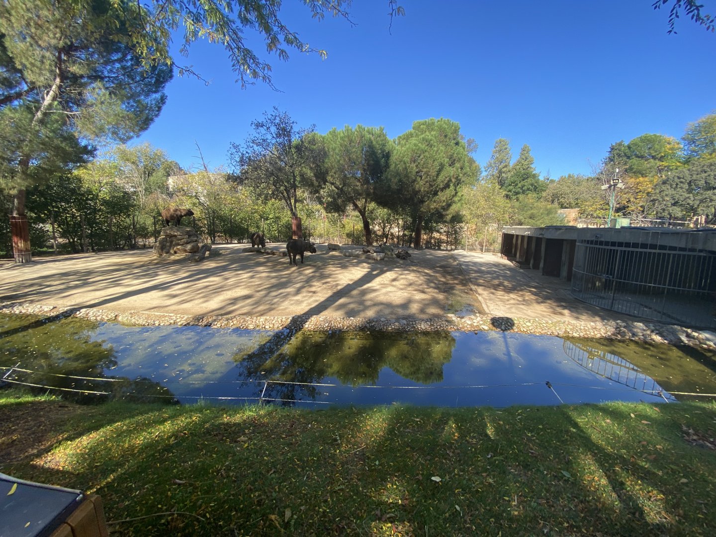 Mishmi takin enclosure