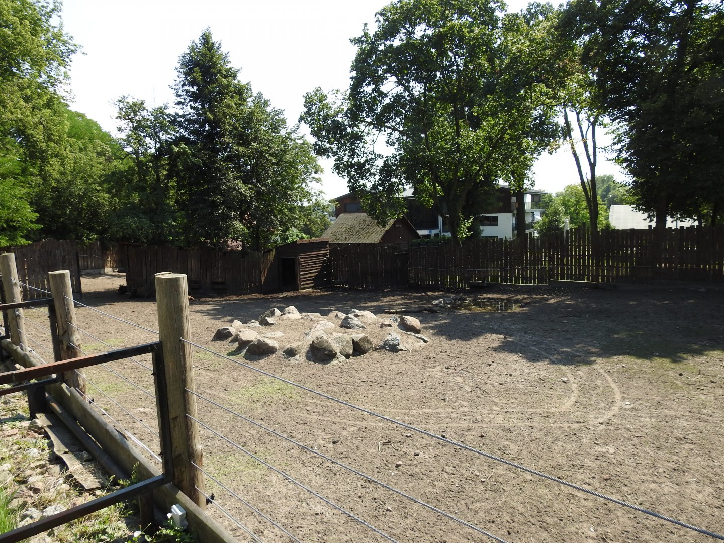 Mishmi takin enclourse