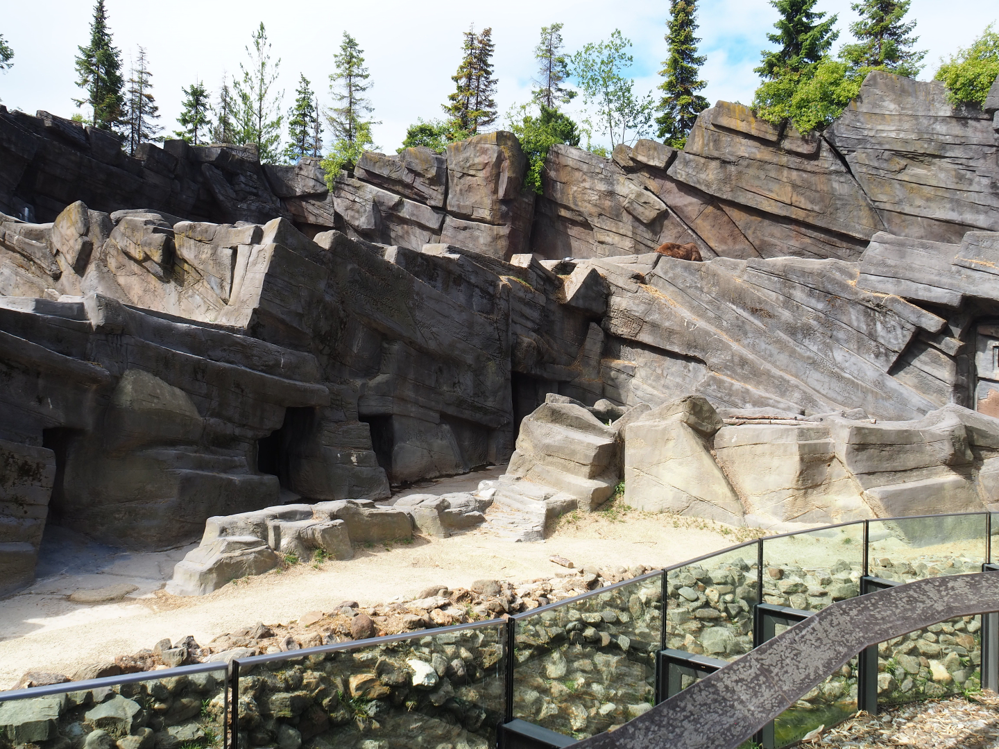 Mishmi takin exhibit, 2020-06-28