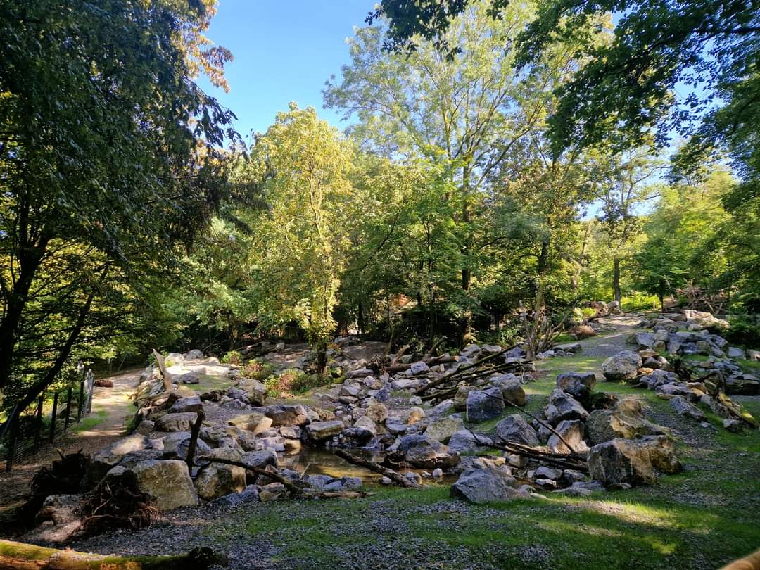 Mishmi Takin Exhibit, lower part