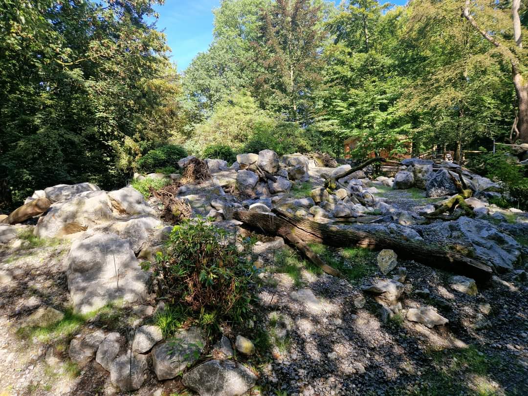 Mishmi Takin Exhibit, middle part
