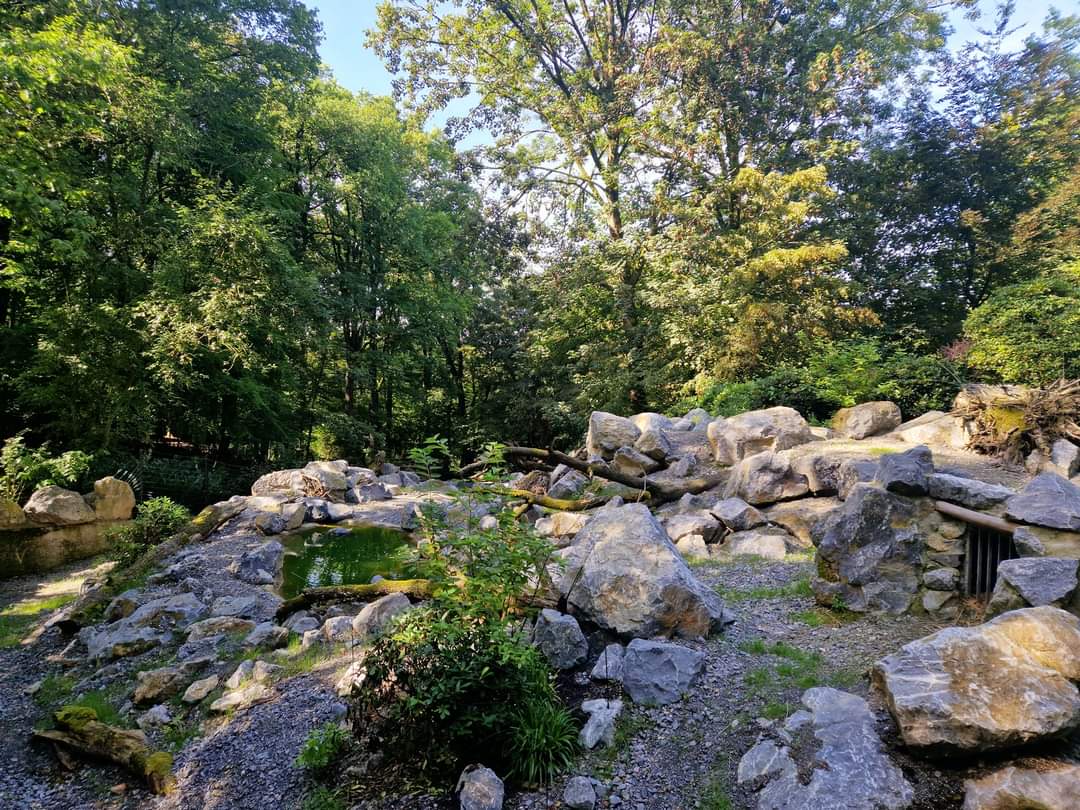 Mishmi Takin Exhibit, upper part