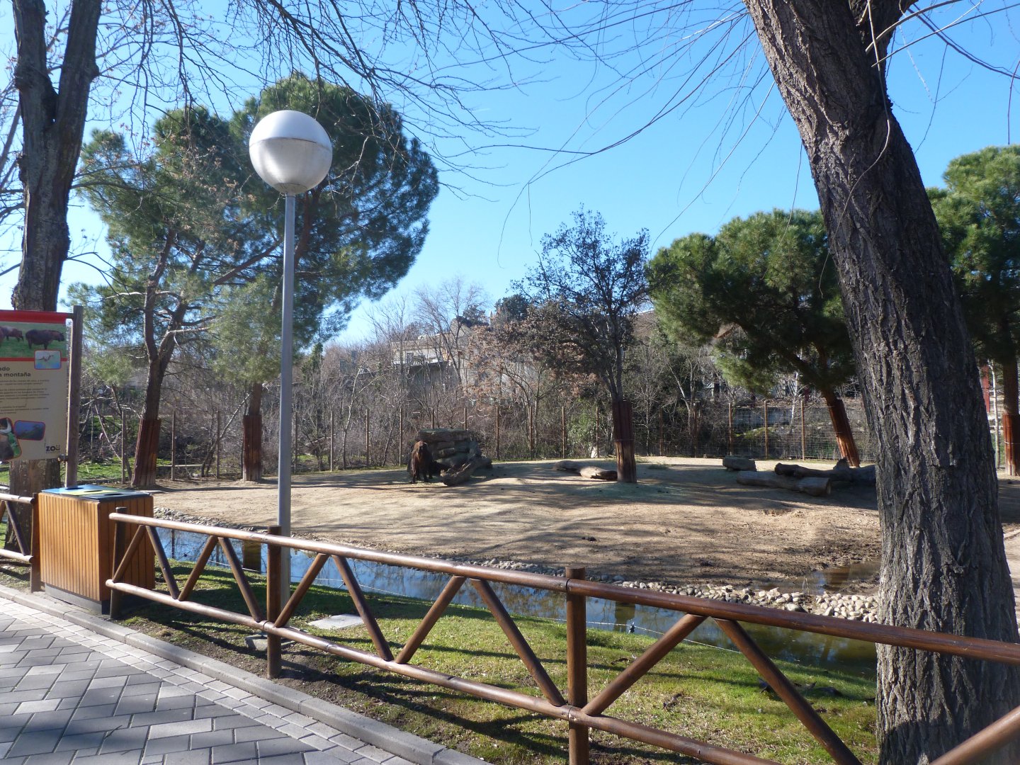 Mishmi takin exhibit -Zoo Aquarium de Madrid (2025)