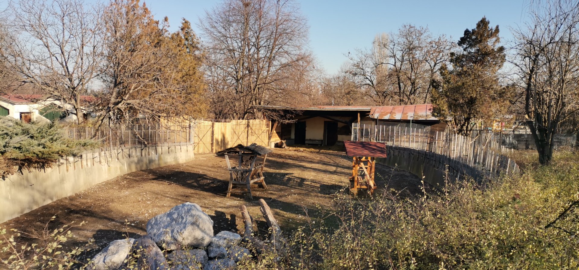 Mishmi Takin exhibit