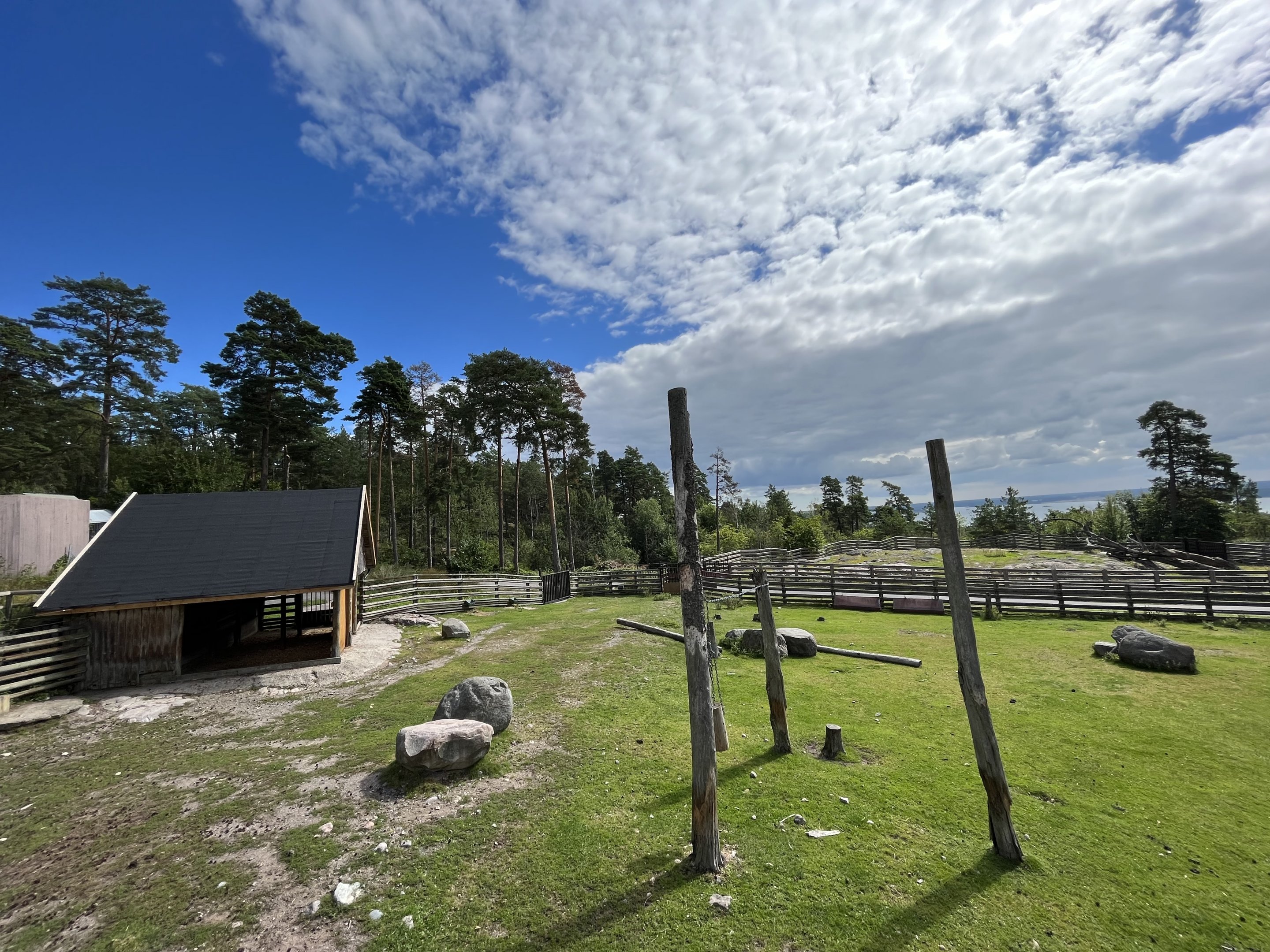 Mishmi Takin Exhibit