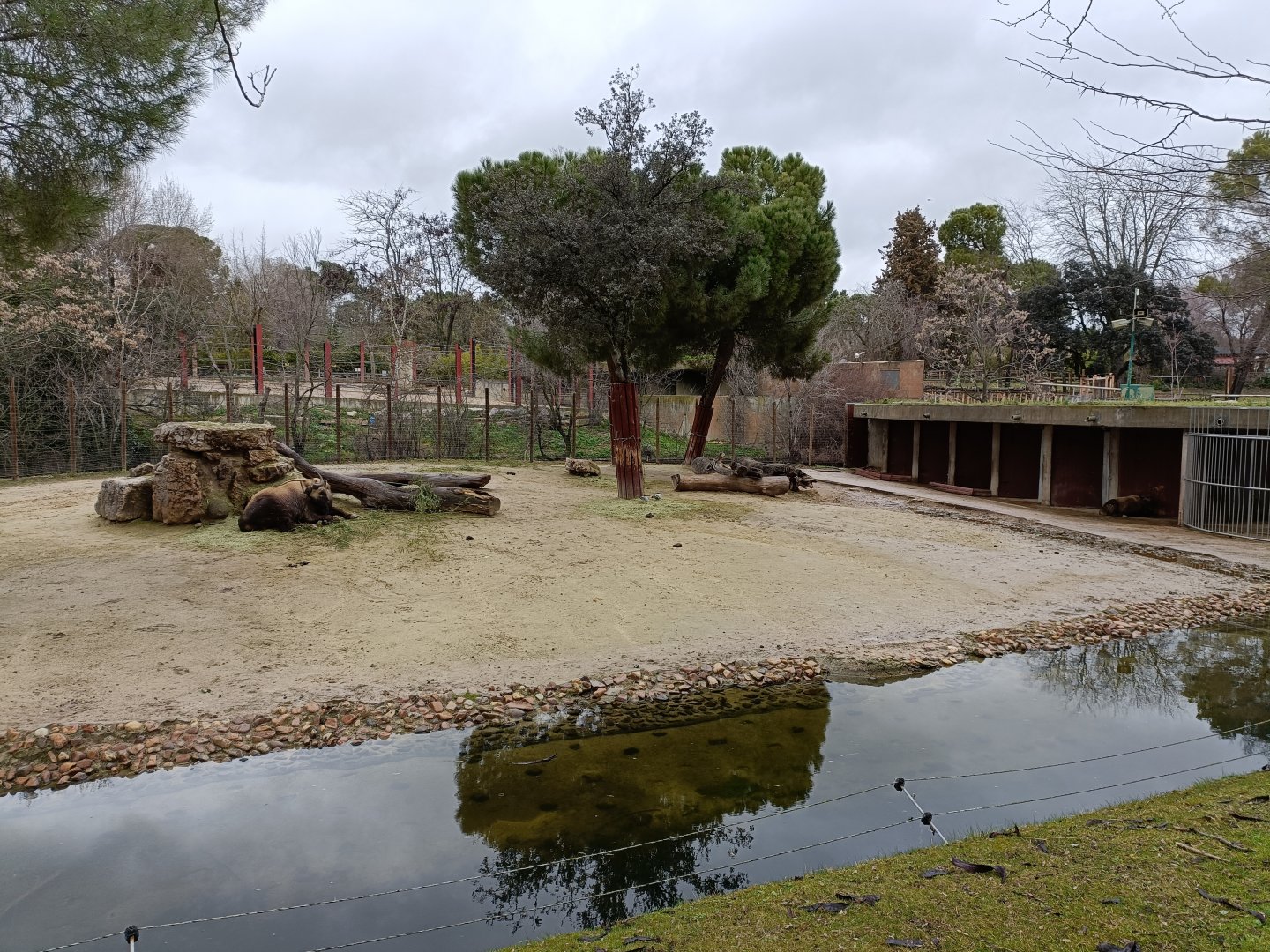 Mishmi takin exhibit