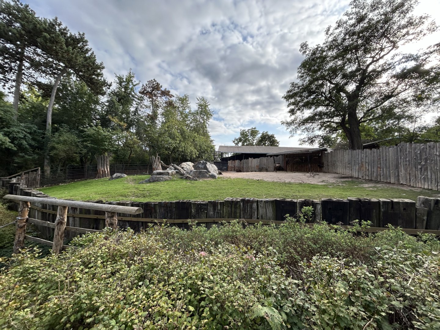 Mishmi Takin Exhibit