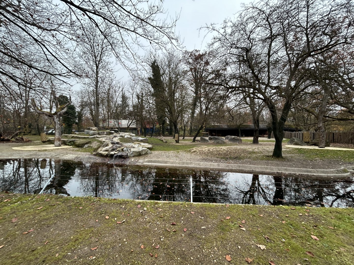 Mishmi Takin Exhibit