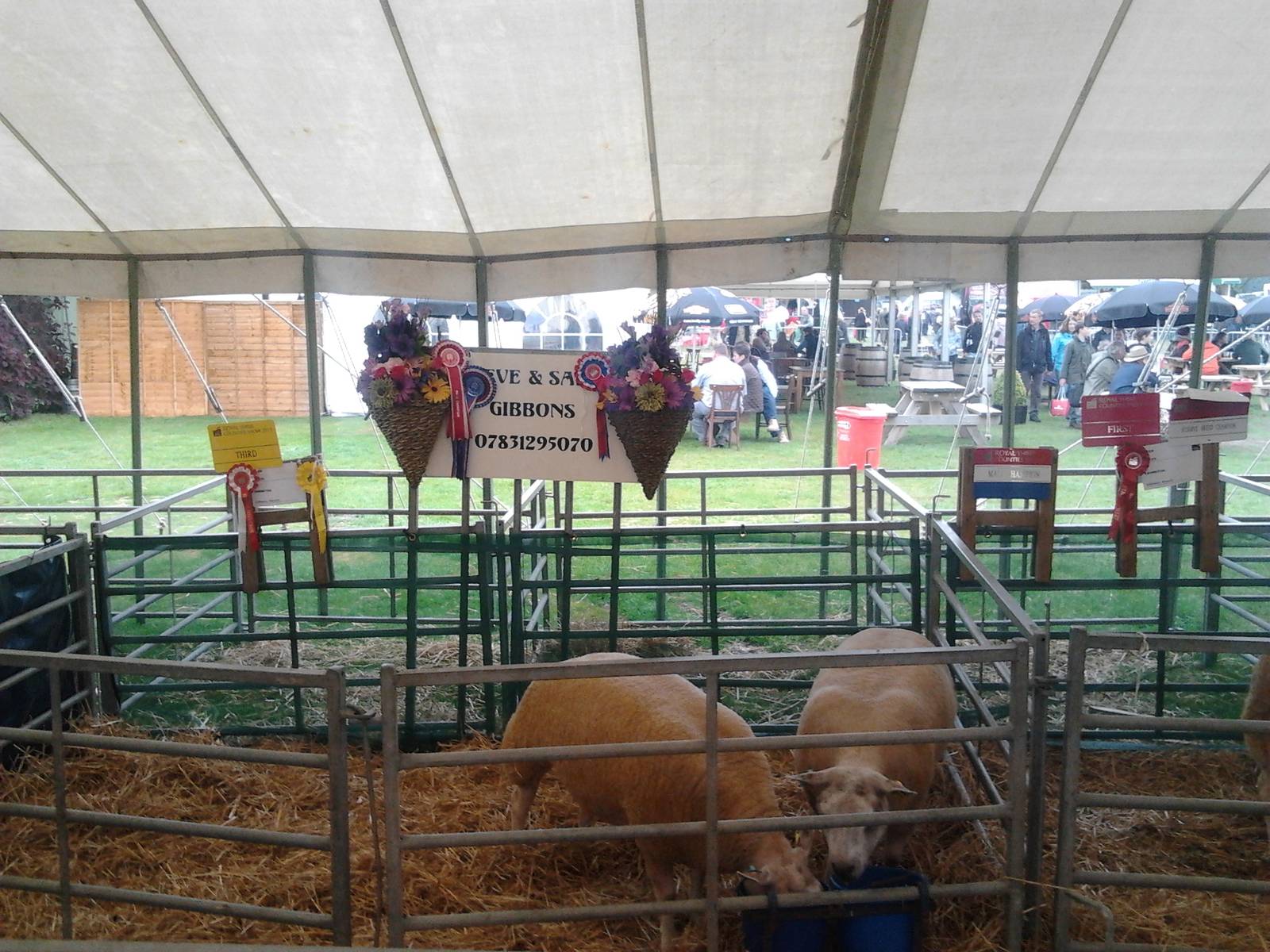 Misleading signage - Royal Three Counties Show