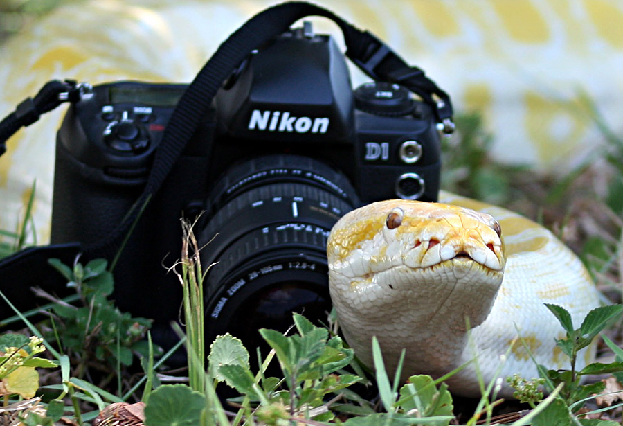 Missing Photographer