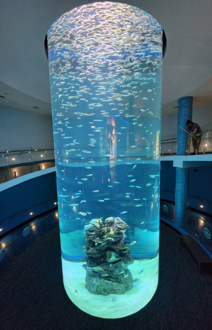 Mississippi Aquarium - A nice looking exhibit