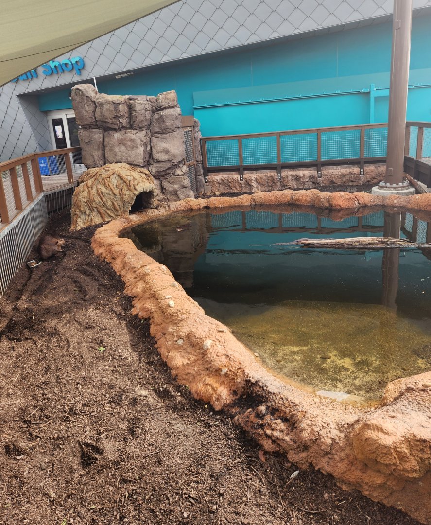 Mississippi Aquarium - Beaver enclosure