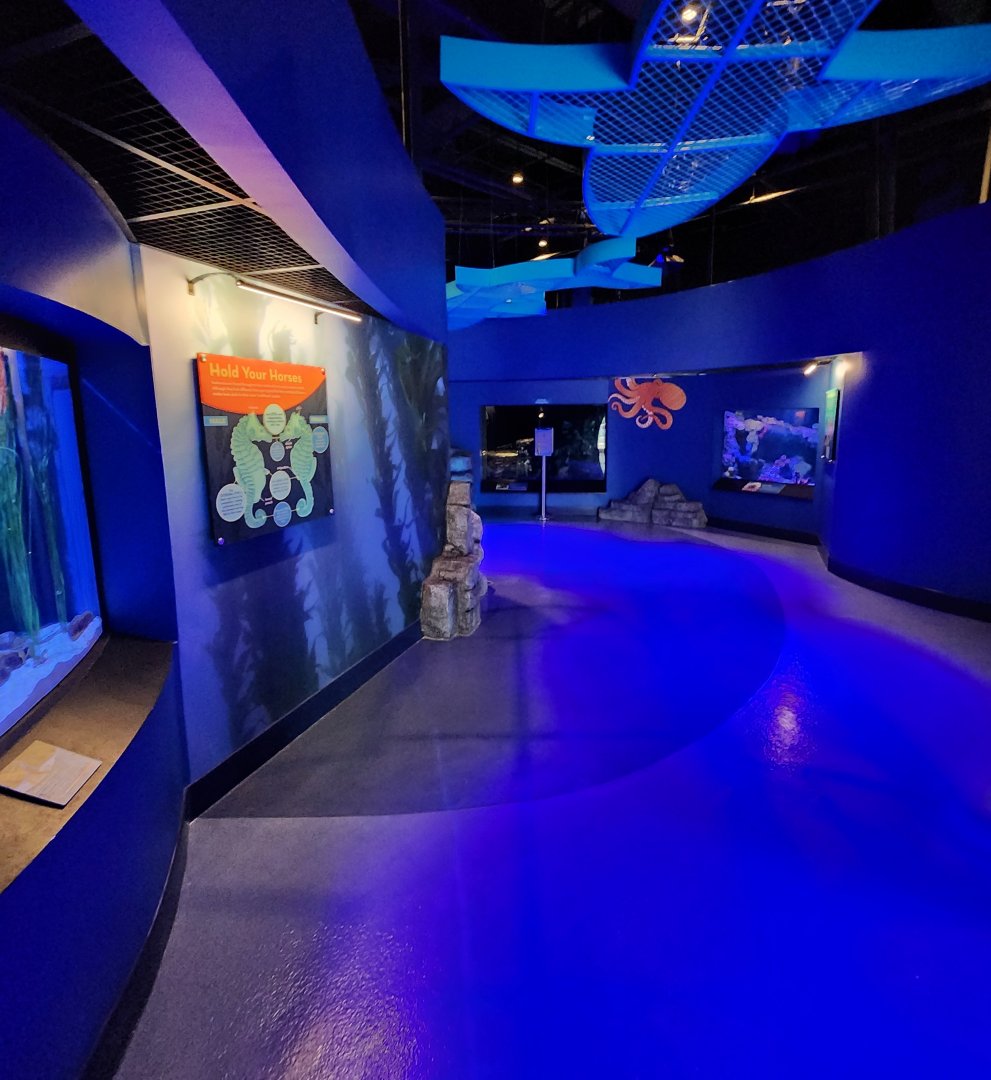 Mississippi Aquarium - Changing Tides entrance path