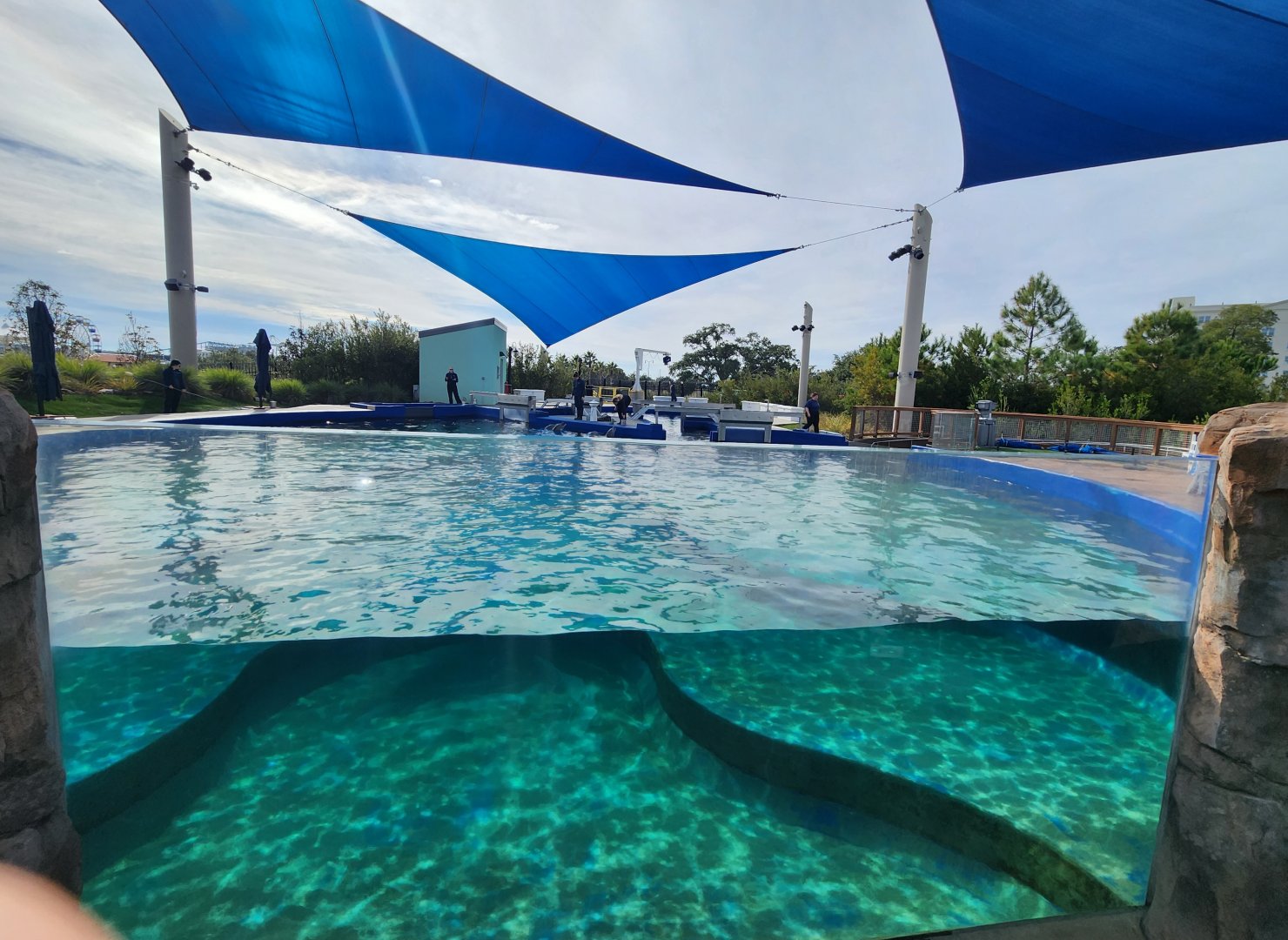 Mississippi Aquarium - Dolphin pool