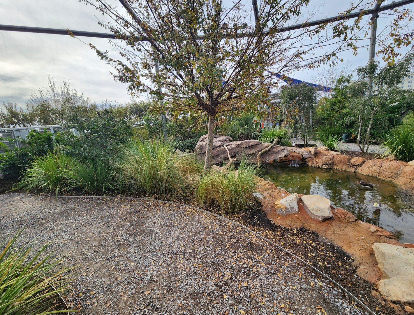 Mississippi Aquarium - Inside the aviary