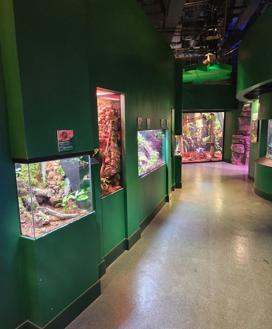 Mississippi Aquarium - Rainforest area