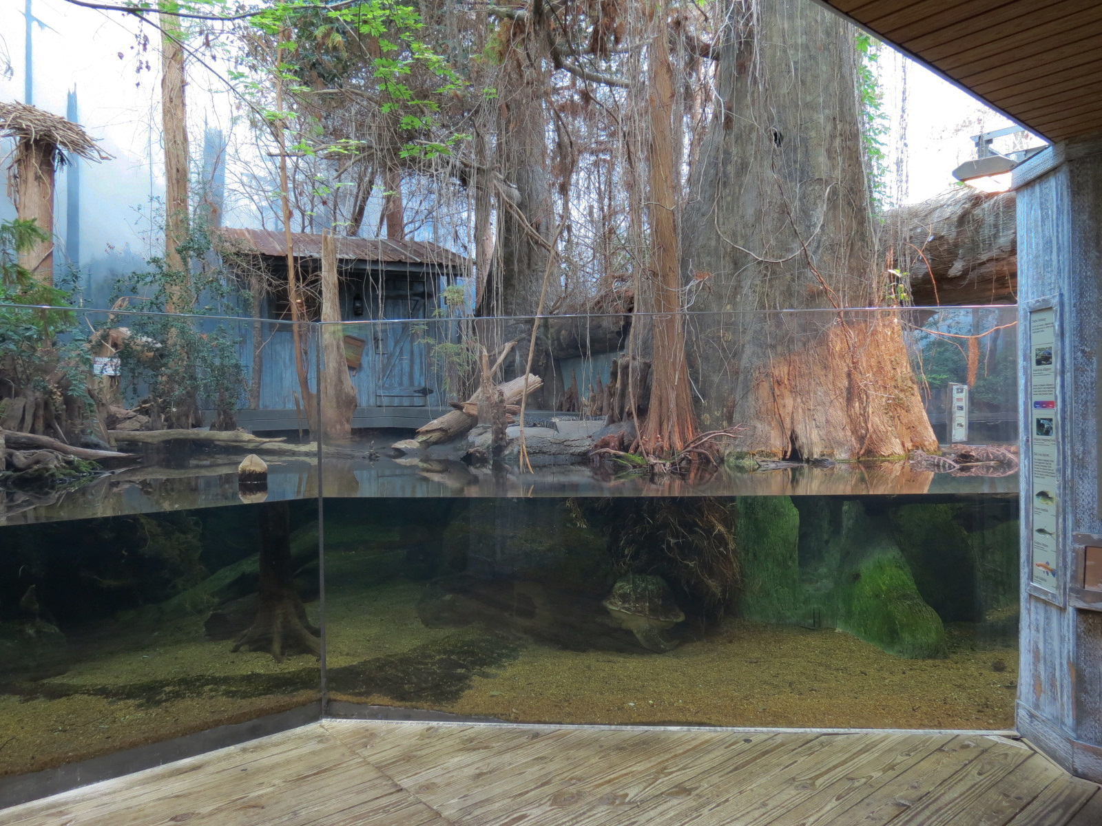 Mississippi Delta Country - Alligator Bank Exhibit