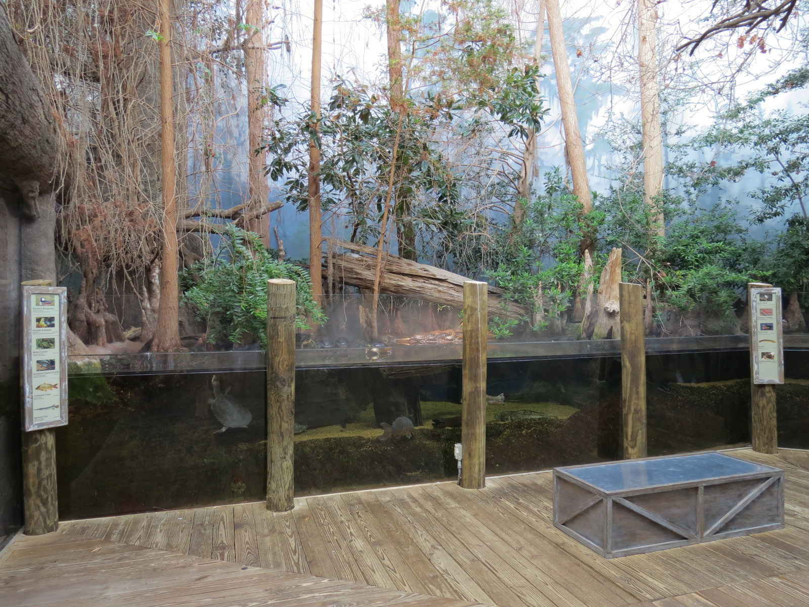 Mississippi Delta Country - Delta Swamp Exhibit