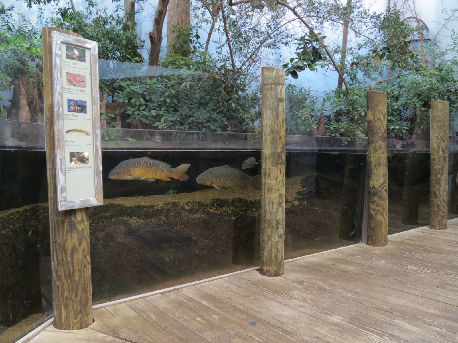 Mississippi Delta Country - Delta Swamp Exhibit