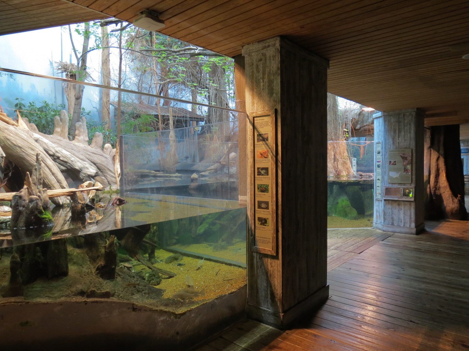 Mississippi Delta Country - Entry