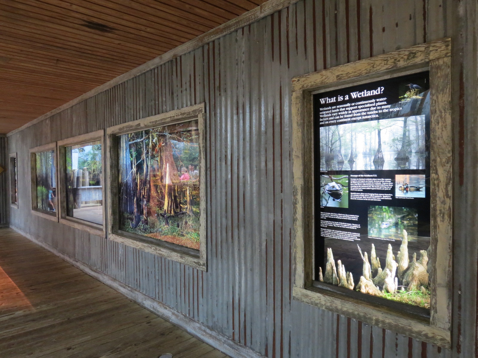 Mississippi Delta Country - Informational Graphics