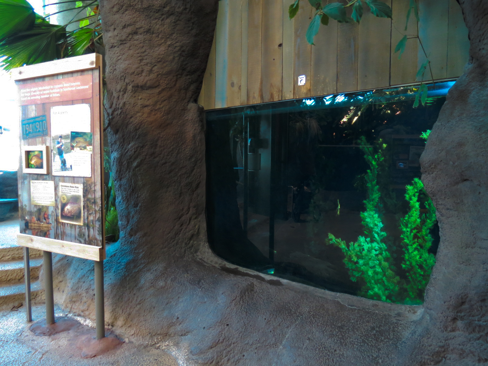 Mississippi River - Black Crappie and Yellow Perch Exhibit