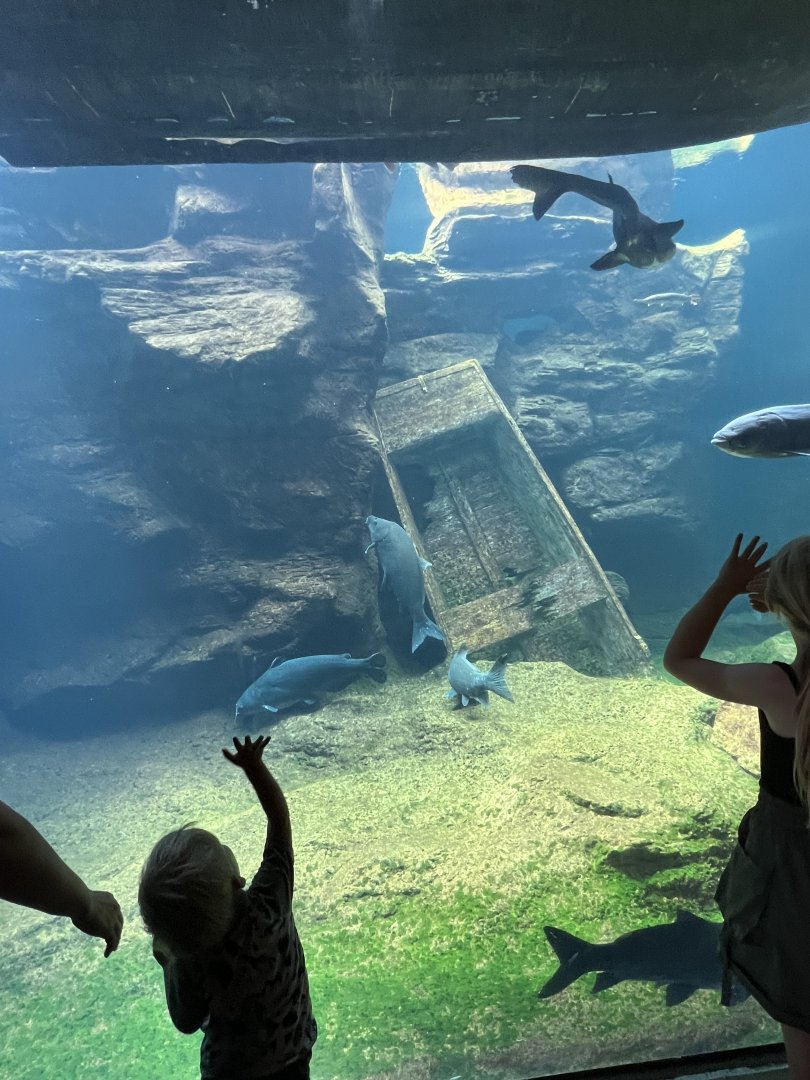 Mississippi River Exhibit
