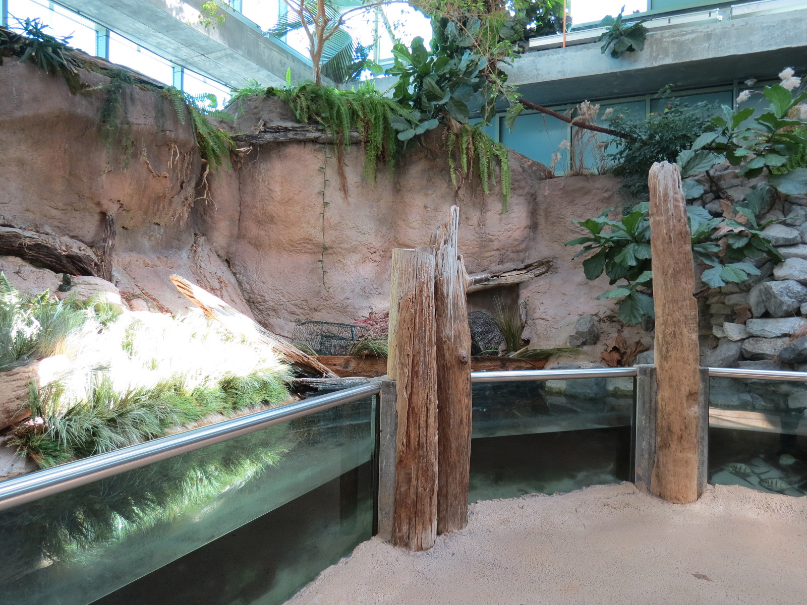 Mississippi River - Gulf Killifish and Others Exhibit