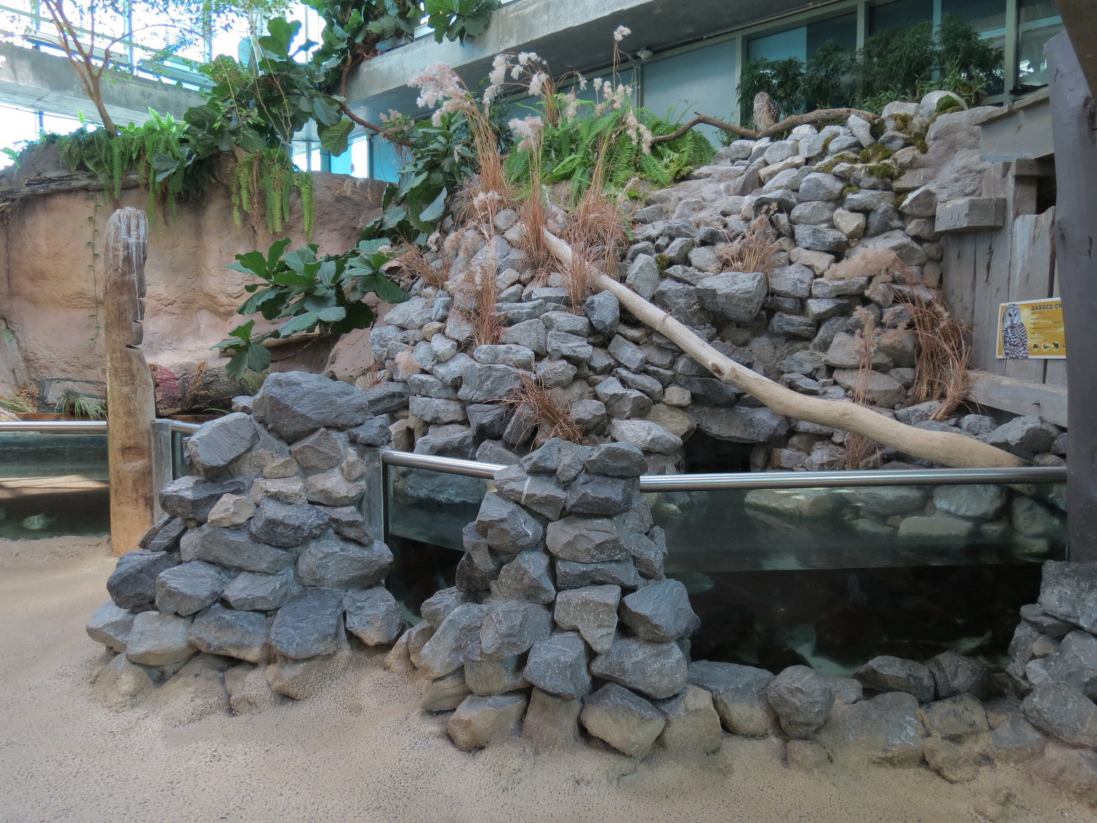 Mississippi River - Gulf Killifish and Others Exhibit