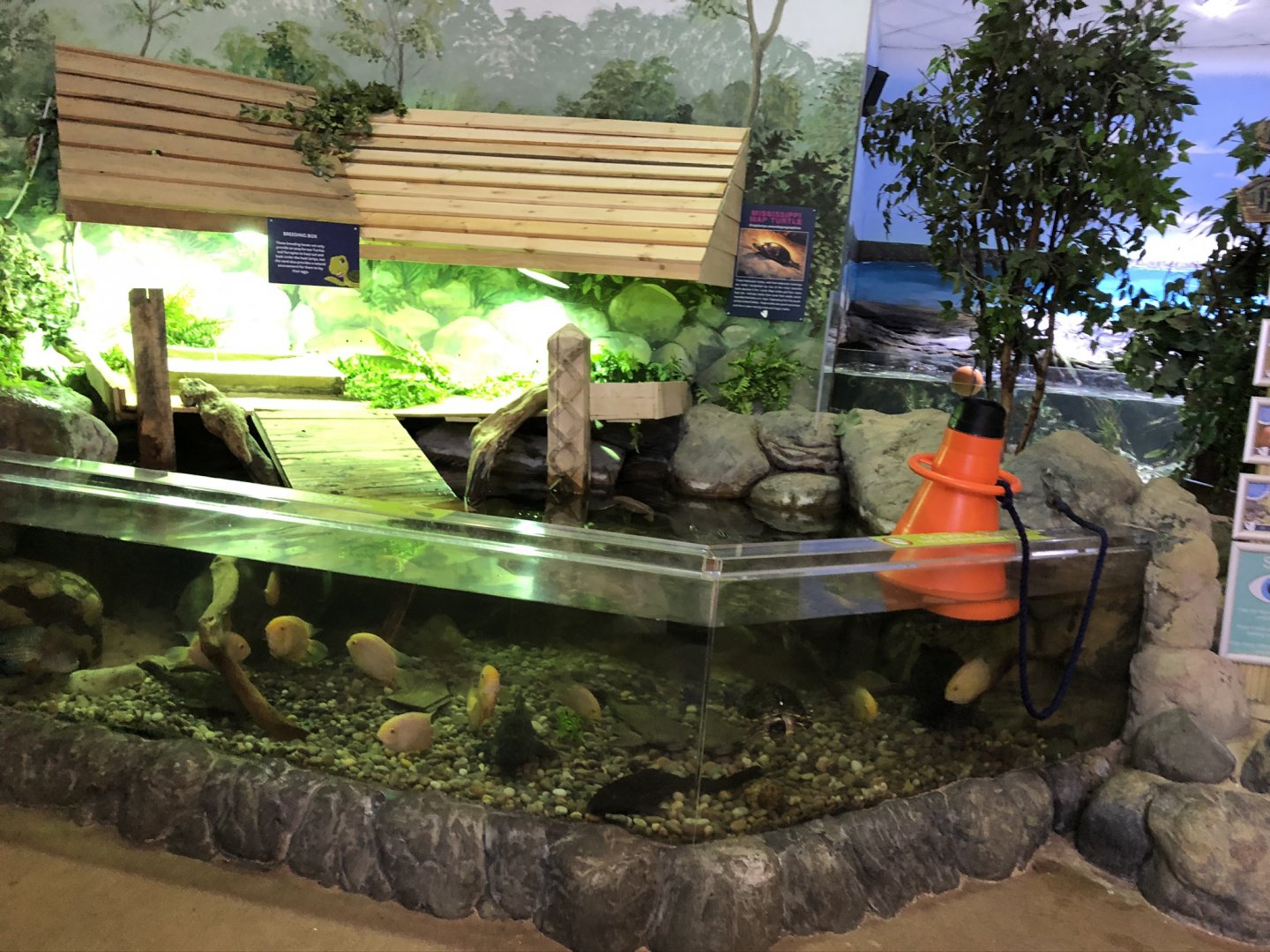 Mississippi River Tank at Tynemouth Aquarium (2019)
