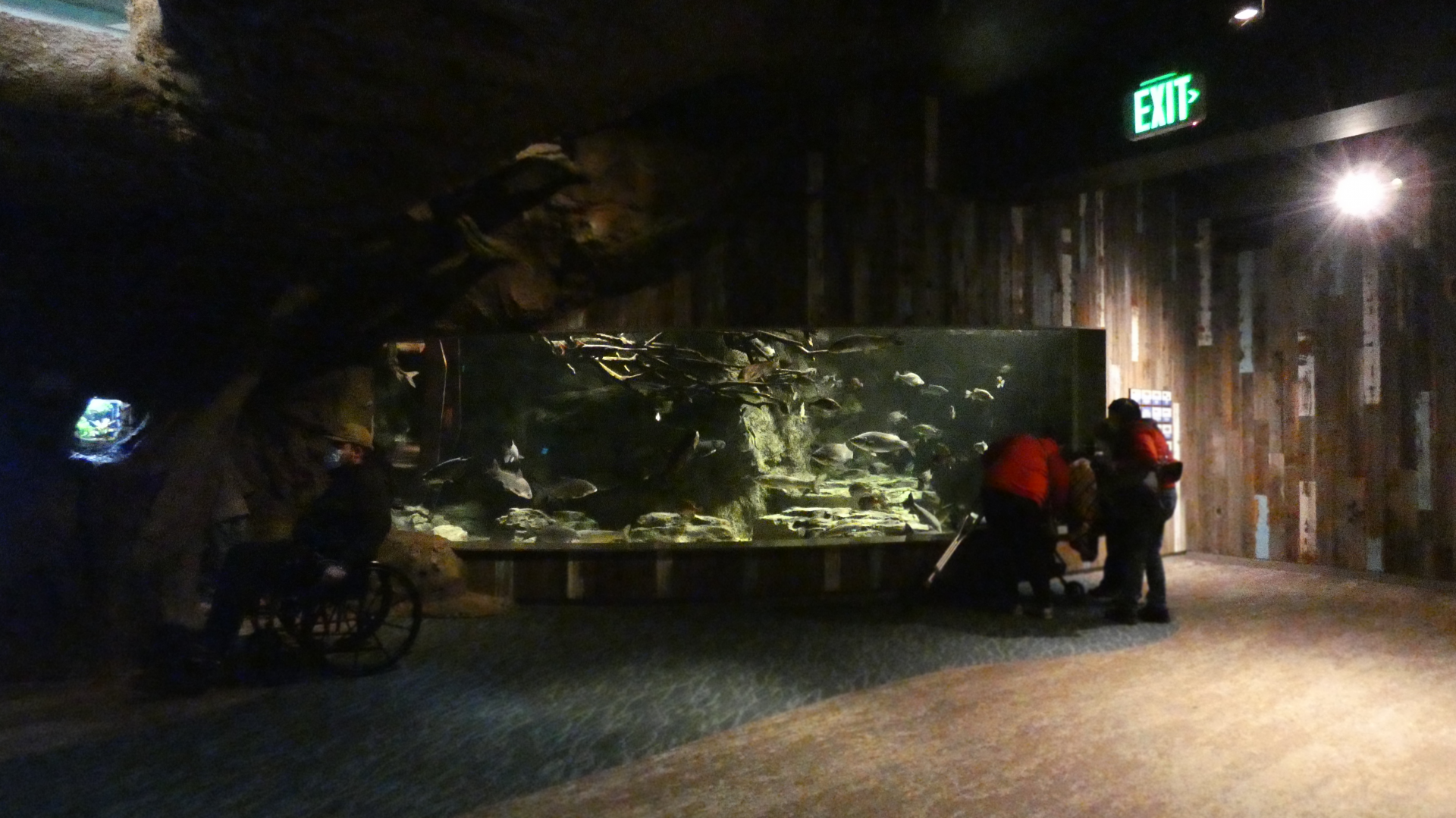 Mississippi River Tank, Confluence Gallery - Mar. 2022