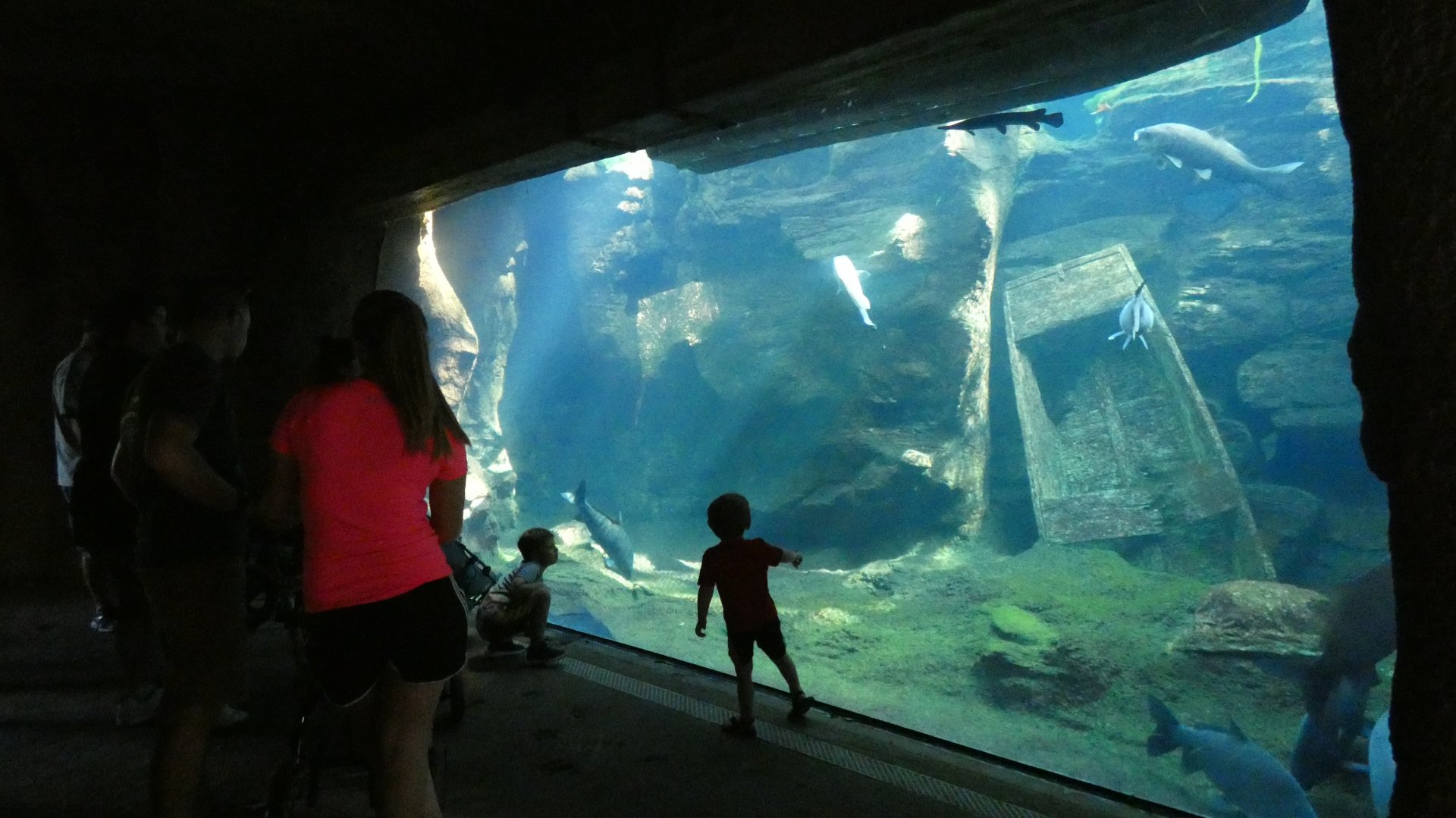 Mississippi River Tank, Missouri, River's Edge  - Sep. 2021