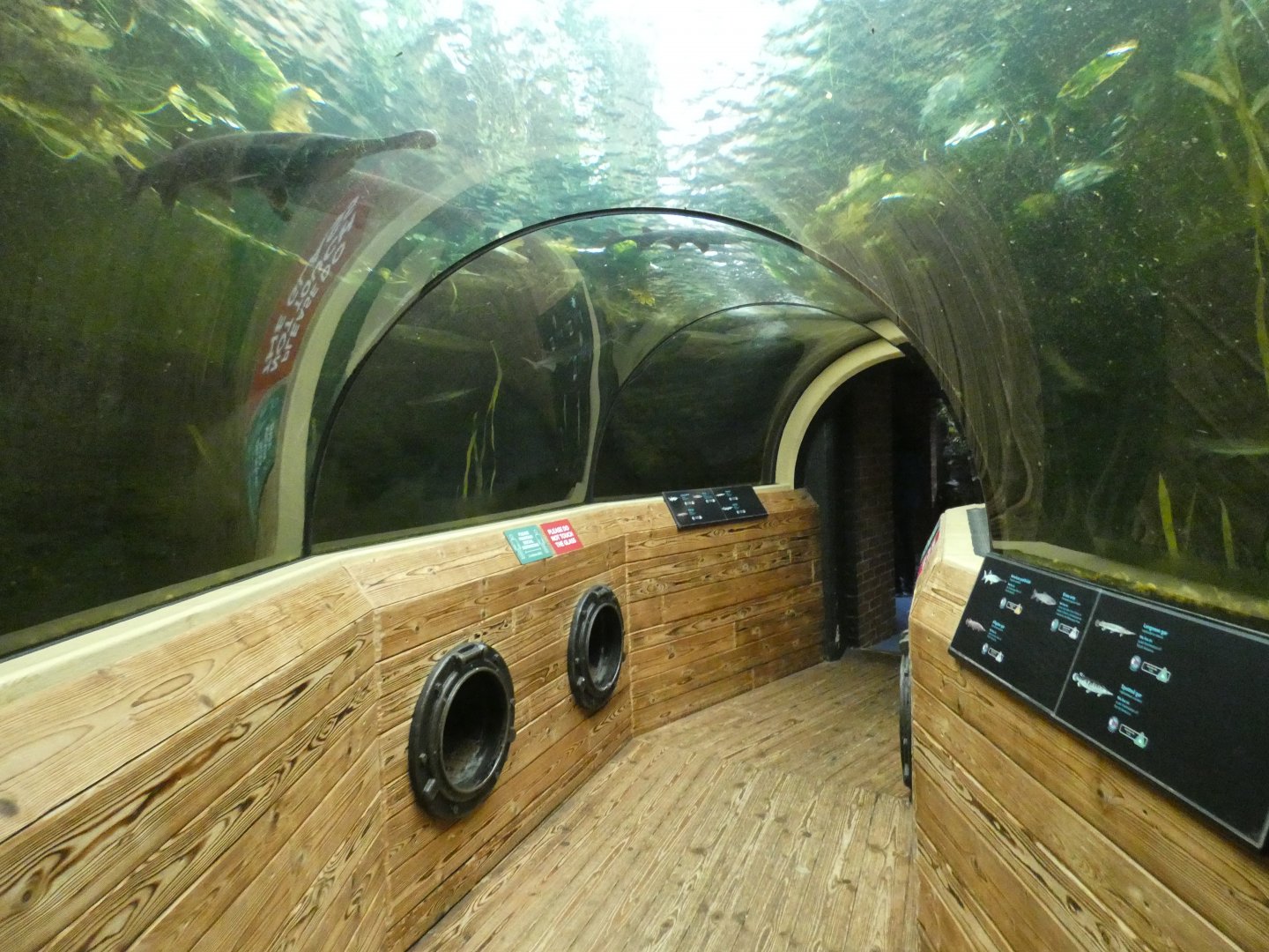 Mississippi underwater viewing tunnel