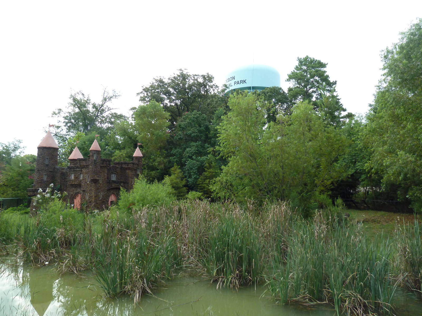 Mississippi Wilderness - American Alligator Swamp